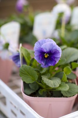 写真 2025-12-02 16 41 17_R_1