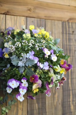 写真 2025-12-12 16 37 32_R_1