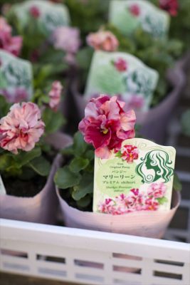 写真 2025-12-02 16 38 03_R_1