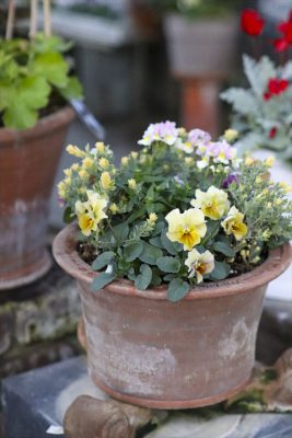 写真 2025-12-09 17 01 50_R_1