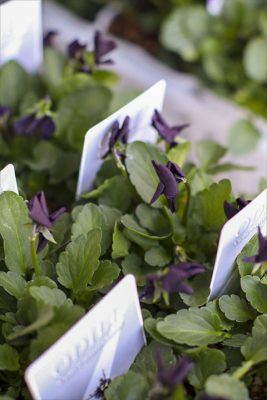 写真 2025-12-03 15 20 56_R_1