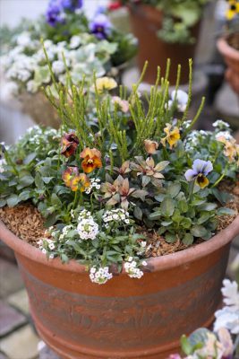 写真 2025-12-04 16 49 41_R_1