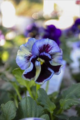 写真 2025-12-18 15 36 46_R_1