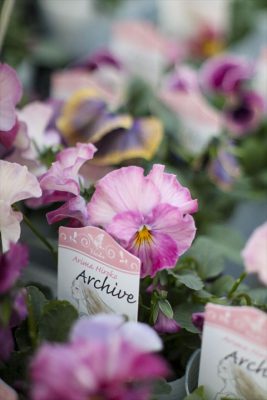 写真 2025-12-11 16 50 34_R_1