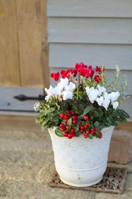 写真 2025-12-05 16 27 34_R_1