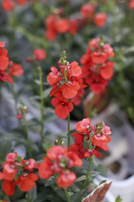 写真 2025-12-24 16 43 52_R_1