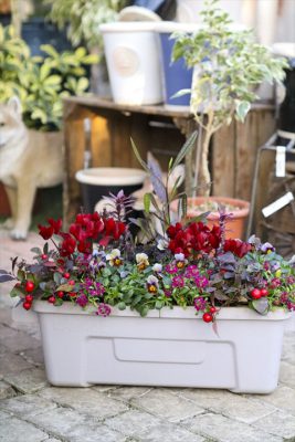 写真 2025-12-18 16 18 41_R_1