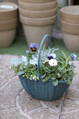 写真 2025-12-06 16 25 43_R_1