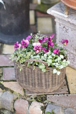 写真 2025-12-07 16 52 35_R_1