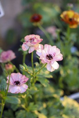 写真 2025-12-16 16 24 10_R_1