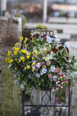 写真 2025-12-09 17 01 32_R_1