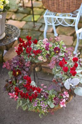 写真 2025-12-22 9 42 00_R_1