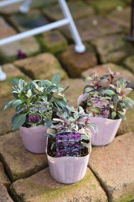 写真 2025-12-03 15 11 38_R_1