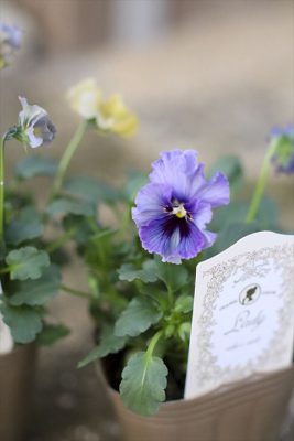 写真 2025-12-08 17 12 24_R_1