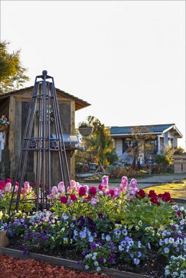 写真 2025-12-22 7 37 48_R_1