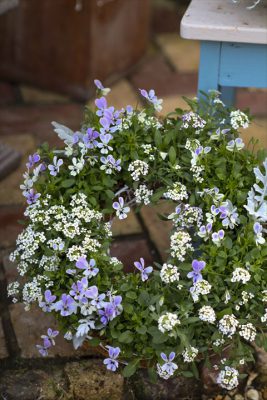 写真 2025-12-20 9 38 58_R_1