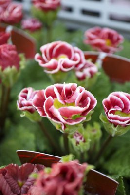 写真 2025-12-22 16 16 56_R_1