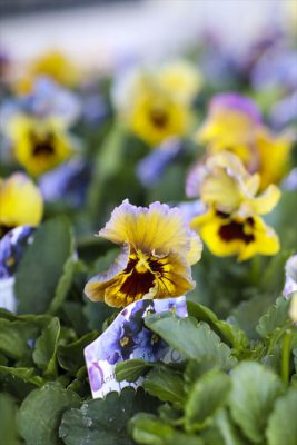 写真 2025-12-03 15 18 34_R_1