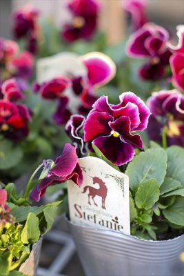 写真 2025-12-16 16 22 47_R_1