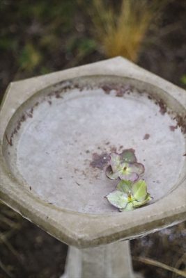 写真 2025-12-13 16 35 46_R_1