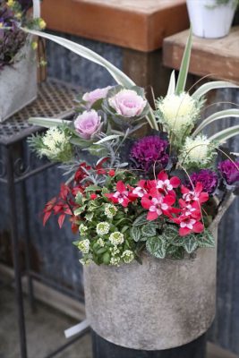 写真 2025-12-14 16 28 32_R_1