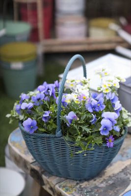 写真 2025-12-22 8 02 01_R_1