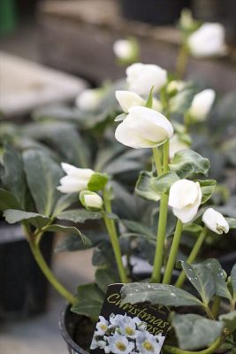 写真 2025-12-05 16 52 34_R_1