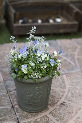 写真 2025-12-11 16 53 36_R_1