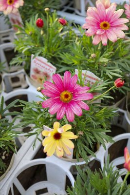 写真 2025-12-17 15 51 13_R_1