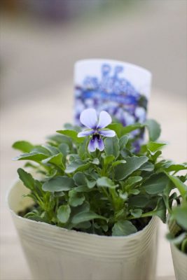 写真 2025-12-13 16 22 29_R_1