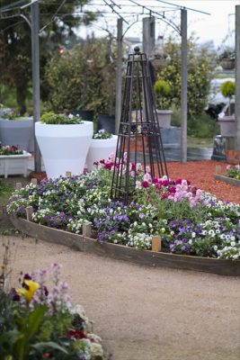 写真 2025-12-13 16 37 02_R_1