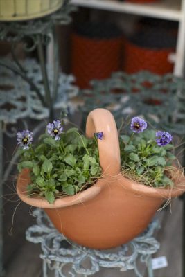 写真 2025-12-05 16 33 07_R_1