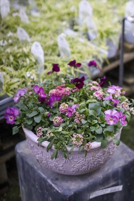 写真 2025-12-27 16 35 05_R_1