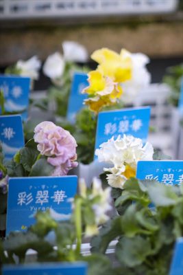 写真 2025-12-11 16 17 33_R_1