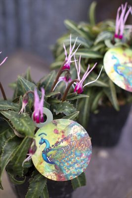 写真 2025-12-03 15 25 54_R_1