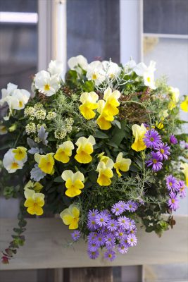 写真 2025-12-03 15 09 43_R_1