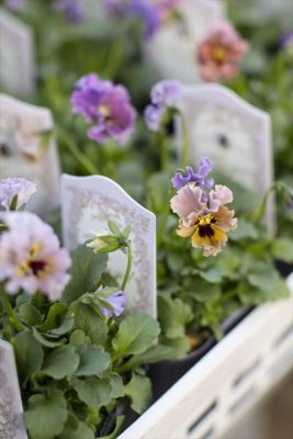 写真 2025-12-18 16 21 00_R_1