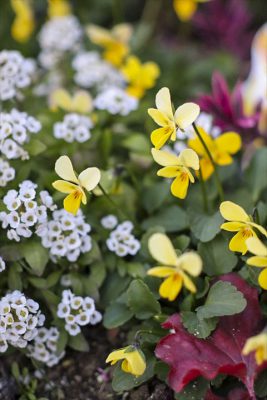 写真 2025-12-16 16 58 59_R_1