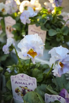 写真 2025-12-18 16 14 05_R_1