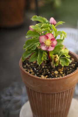 写真 2025-12-25 16 22 48_R_1