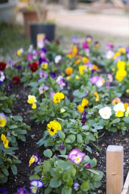 写真 2025-12-12 16 38 36_R_1