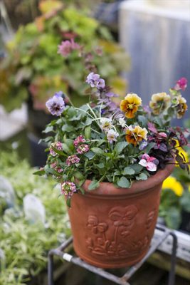 写真 2025-12-11 16 52 50_R_1