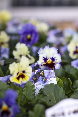 写真 2025-12-03 15 18 15_R_1