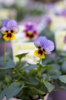 写真 2025-12-02 16 39 35_R_1