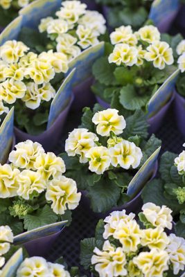 写真 2025-12-05 15 26 53_R_1