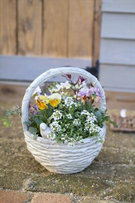 写真 2025-12-17 16 17 48_R_1