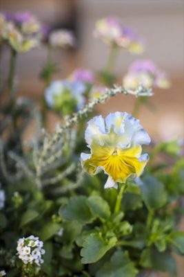 写真 2025-12-16 16 29 45_R_1