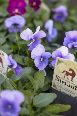 写真 2025-12-16 16 22 24_R_1