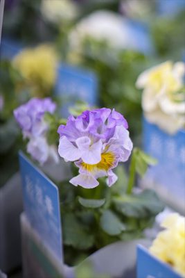 写真 2025-12-11 16 16 51_R_1