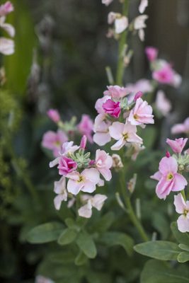 写真 2025-12-16 16 59 14_R_1